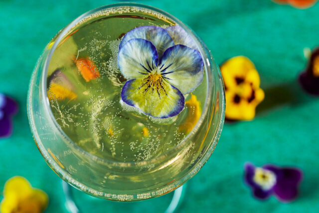 Indian restaurant Mayfair Christmas party menus with festive Bellinis and Cocktails showcasing a contemporary approach to Pan-Indian cuisine